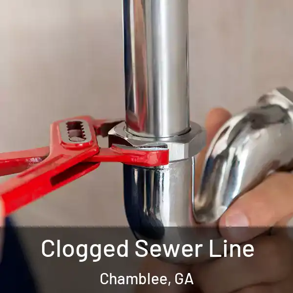  Clogged Sewer Line Chamblee, GA